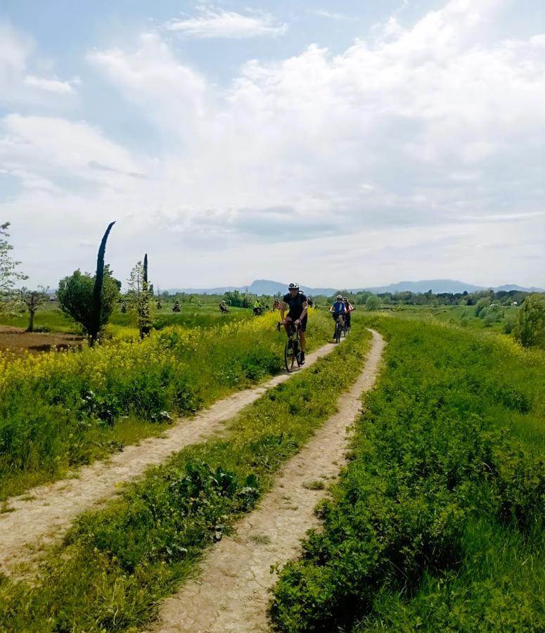 Agriturismo Borgonuovo Римини Экстерьер фото